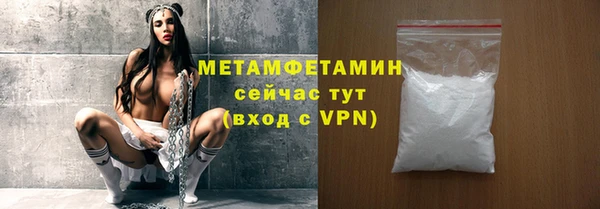 гидра Ельня