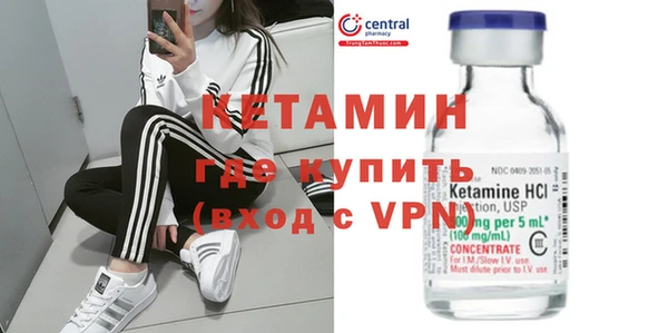 гидра Ельня