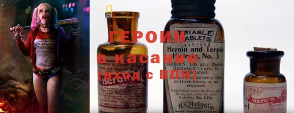 гидра Ельня