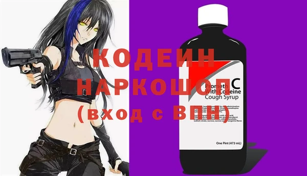 стаф Елабуга