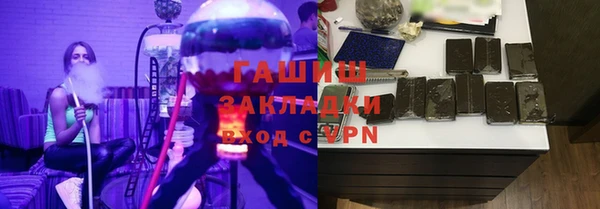 гидра Ельня