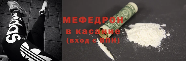гидра Ельня