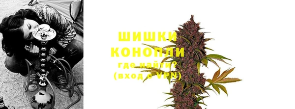 гидра Ельня