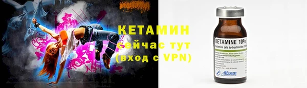 гидра Ельня