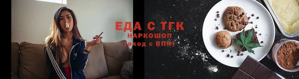 гидра Ельня