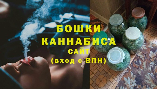 гидра Ельня
