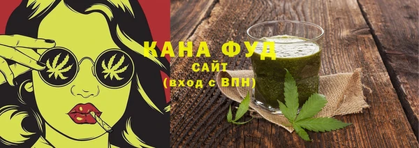 гидра Ельня
