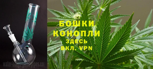 гидра Ельня