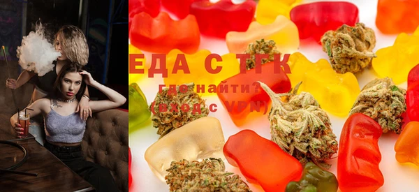 гидра Ельня