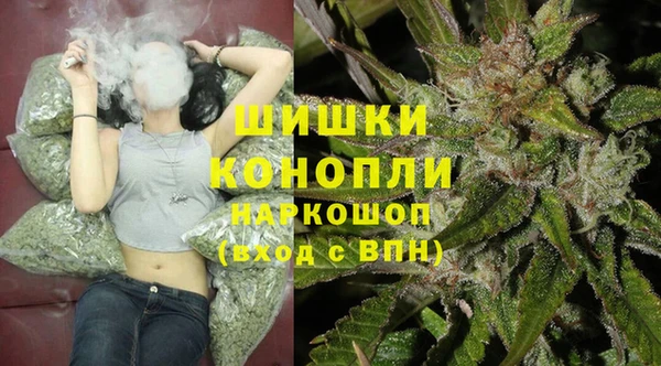 стаф Елабуга