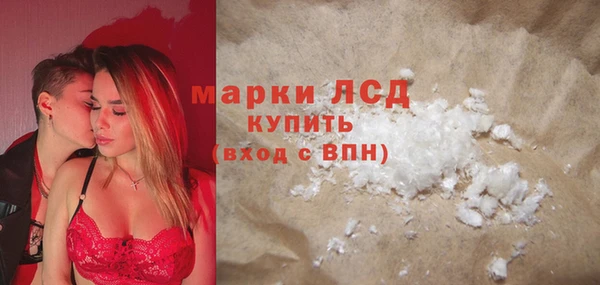 гидра Ельня